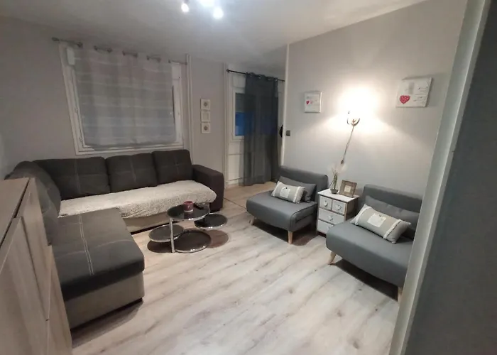 Studio Cosy A 10 Minutes Du Centre-Ville.